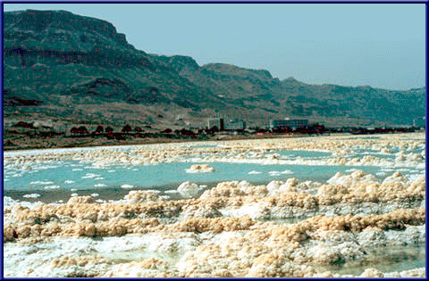 kollidere kontoførende Modtager Forskning i Dødehavet | Israel-Info