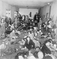 Displaced Persons´ Camp i Bergen Belsen i den britiske besættelseszone i Tyskland